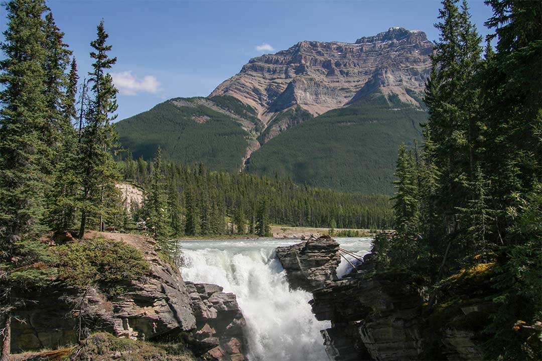 Athabasca Falls Summer