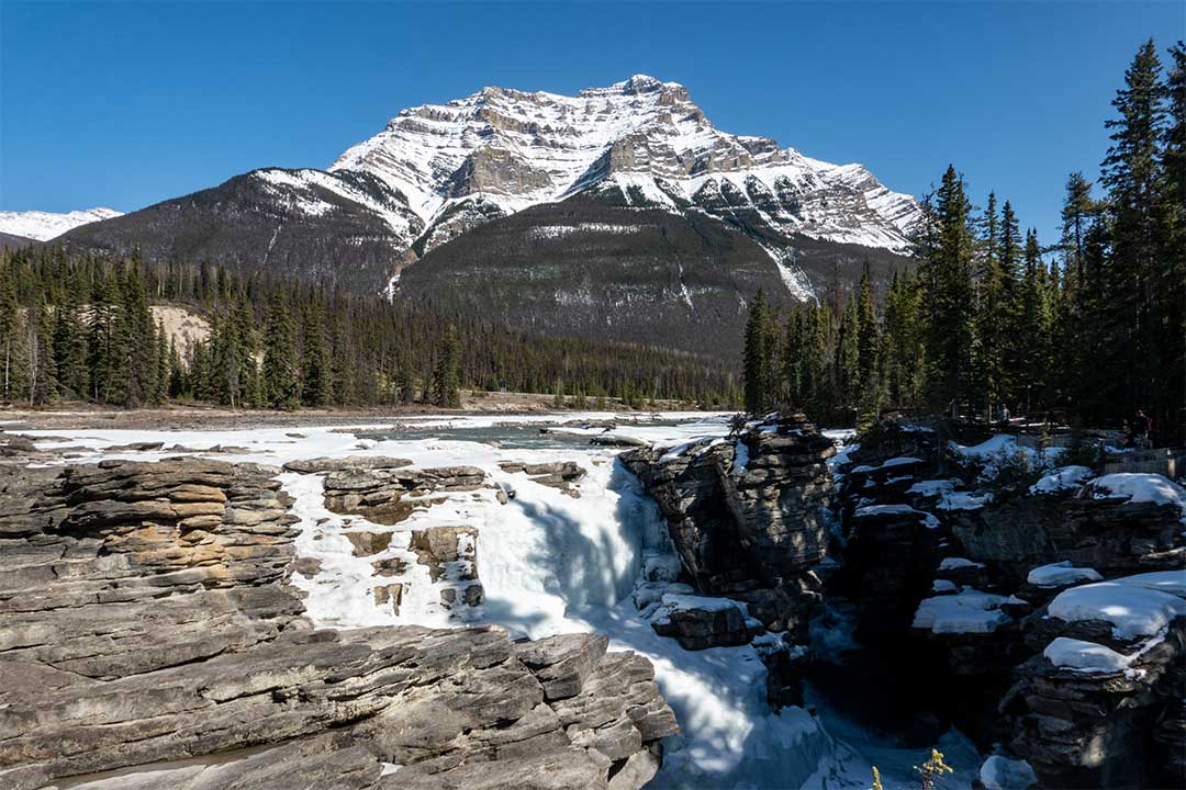 Athabasca Falls Spring